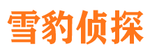 武都市调查公司